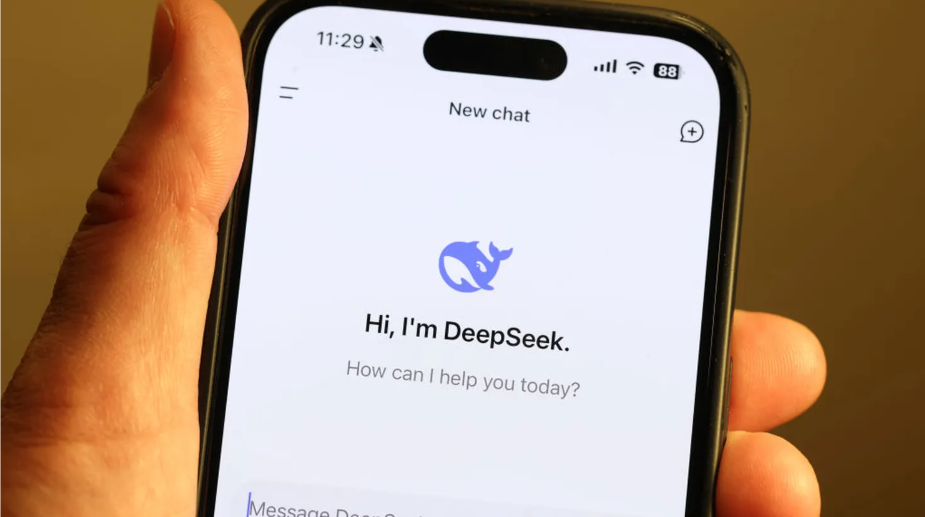 DeepSeek热潮之下，回归常识